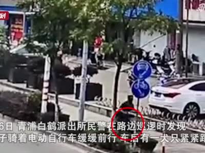 直击上海遛狗不牵绳罚款现场 2个月超800位铲屎官受罚