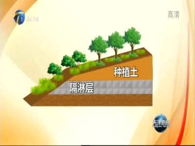 天视《天津新闻》丨盐碱地变绿洲 生态更宜居
