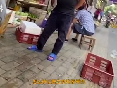 武汉菜场卖野生青蛙每斤约30元，市监局称将调查