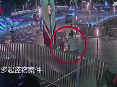 上海阿婆迪士尼盗窃游客童车内财物
