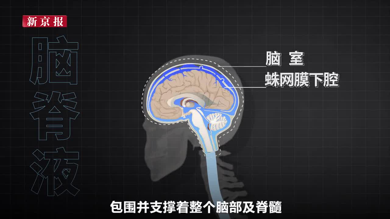 低头族当心脑脊液外漏长时间低头易形成脊柱骨刺后果严重