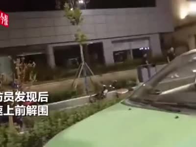 司机深夜急按喇叭惹怒路人 快车道两人拿生命“顶牛”