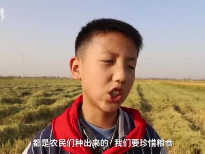 江苏#小学劳动课下乡割水稻#，老师：体会粮食来之不易