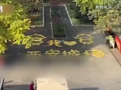 金燦燦的守護(hù)！景區(qū)員工用銀杏葉表白西安城墻