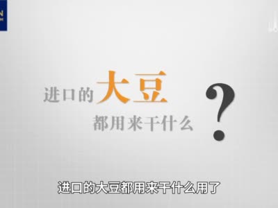 数说进口丨中国为什么要大量进口大豆?