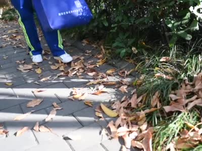 上海部分“落叶不扫”景观道路已开启：每天落叶都是最佳状态