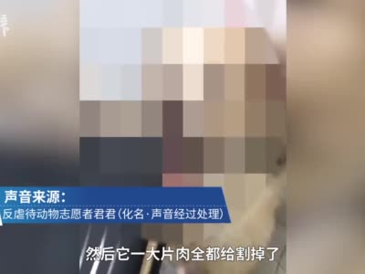 浙江警院回应“老师被指半年虐杀数百只动物”：正展开调查