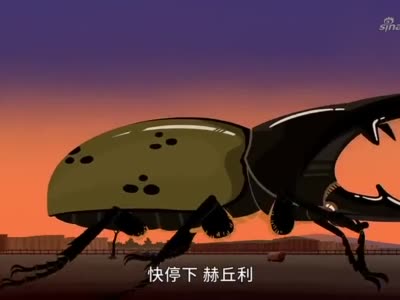 动物兄弟:变身甲虫的动物兄弟警告巨型甲虫,结果……帅不过三秒