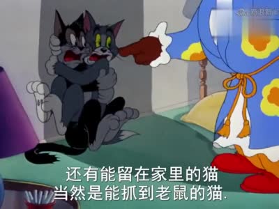 猫和老鼠:两只笨猫太蠢了,一起对付杰瑞,却被杰瑞收拾