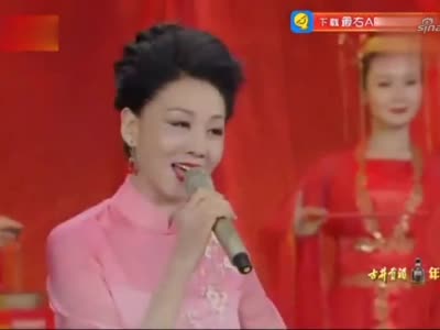 黄梅戏安徽春晚韩再芬王珮瑜戏韵流长京剧与黄梅戏跨界演出