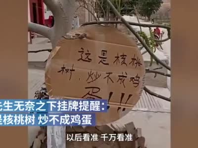 西安男子家门口种的核桃树被认成香椿薅光叶子 挂牌：炒不成鸡蛋
