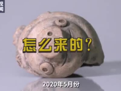 三星堆出土的陶猪撞脸愤怒的小鸟网友一模一样