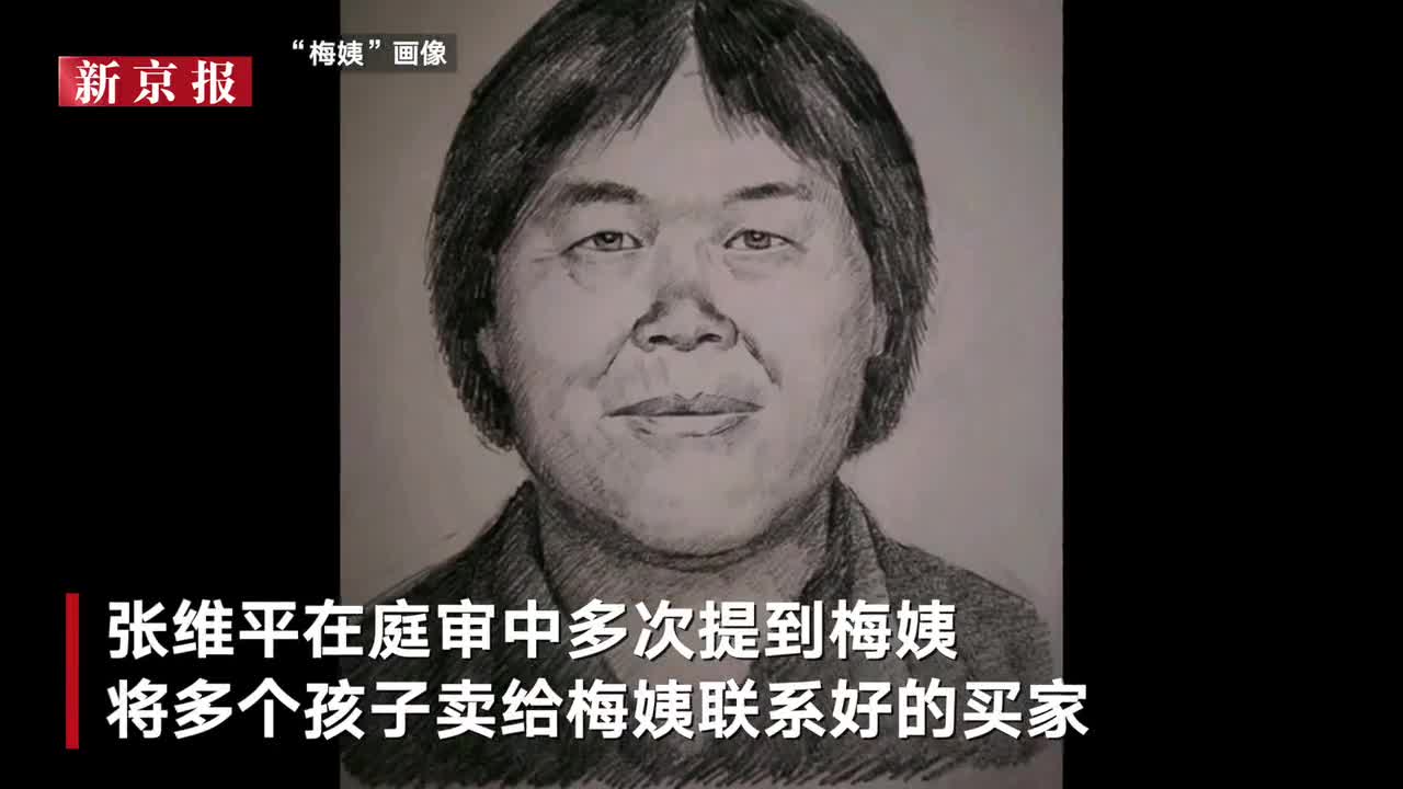 梅姨案主犯张维平梅姨确实存在但和现有画像不太像