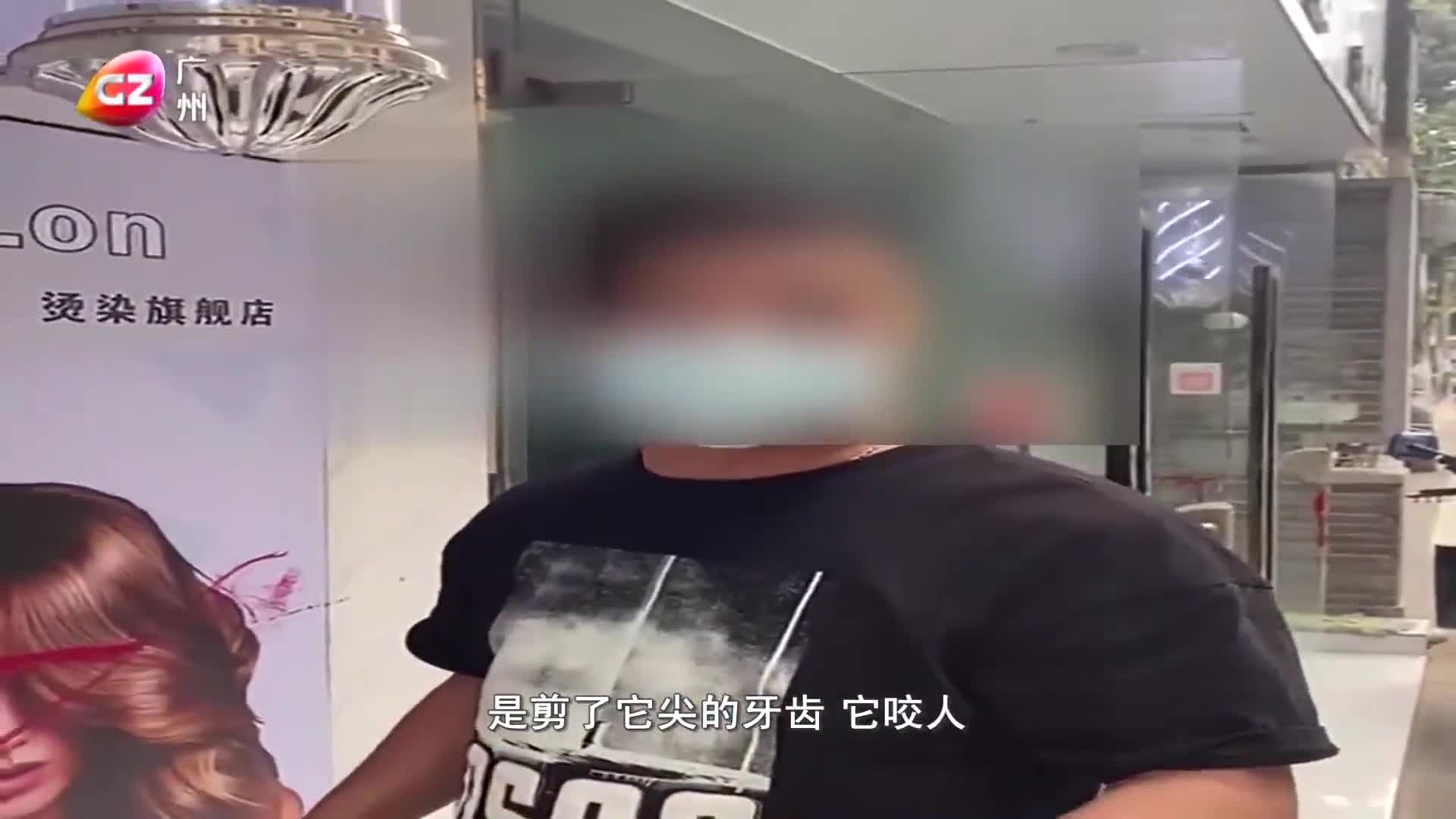 广州一男子用铁钳拔狗牙已被警方带走调查