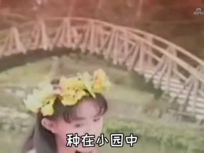 卓依婷一首《兰花草》经典难以忘怀,用歌声阐述爱情的