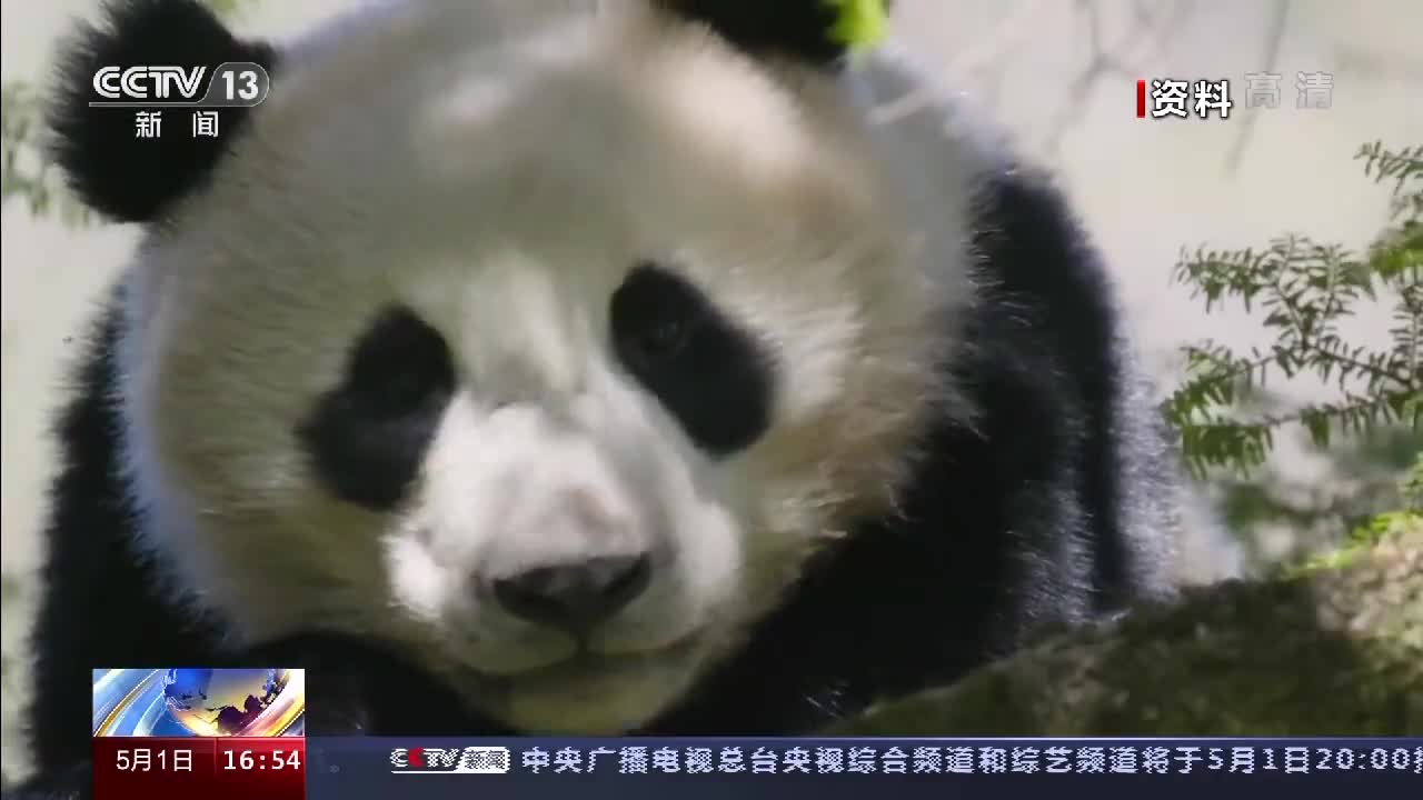 四川卧龙自然保护区有149只野生大熊猫 这个数据是怎么来的?
