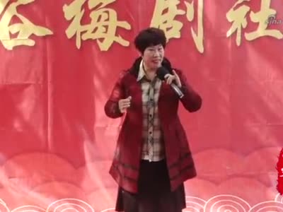 王小双演唱:豫剧《对花枪》"老身家住南阳地"选段