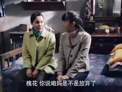 情满四合院娄晓娥带着孩子回来认傻柱秦淮茹担心傻柱离开自己