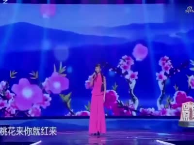 王二妮一首《桃花红杏花白》,歌声嘹亮动听,唱得真!