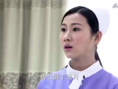 家和万事兴:杨兰眼睛都快瞎了,还想着嘉诚安慰,这就是