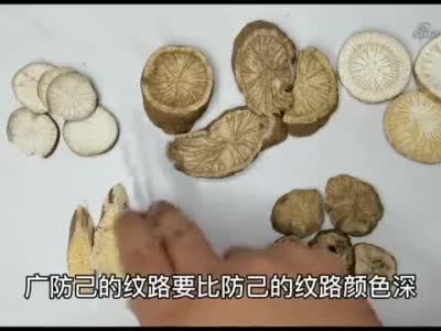 揭秘系列防己粉防己广防己木防己你中过哪个套路