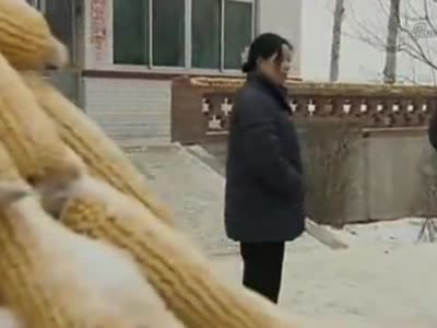 乡村爱情:王天来找到李秋歌,李秋歌接受王天来要跟母亲商量