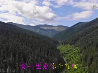 经典老歌一生爱你千百回好听醉了只愿今生与你共厮守