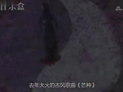 盘点越南翻唱中文歌的洗脑神曲,很多版本,这几首很不错哦