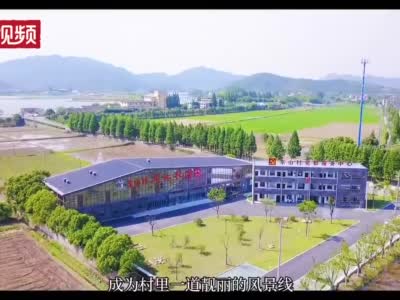 上浦镇东山村:山村迎嬗变 游客欣然来|上虞市_新浪新闻