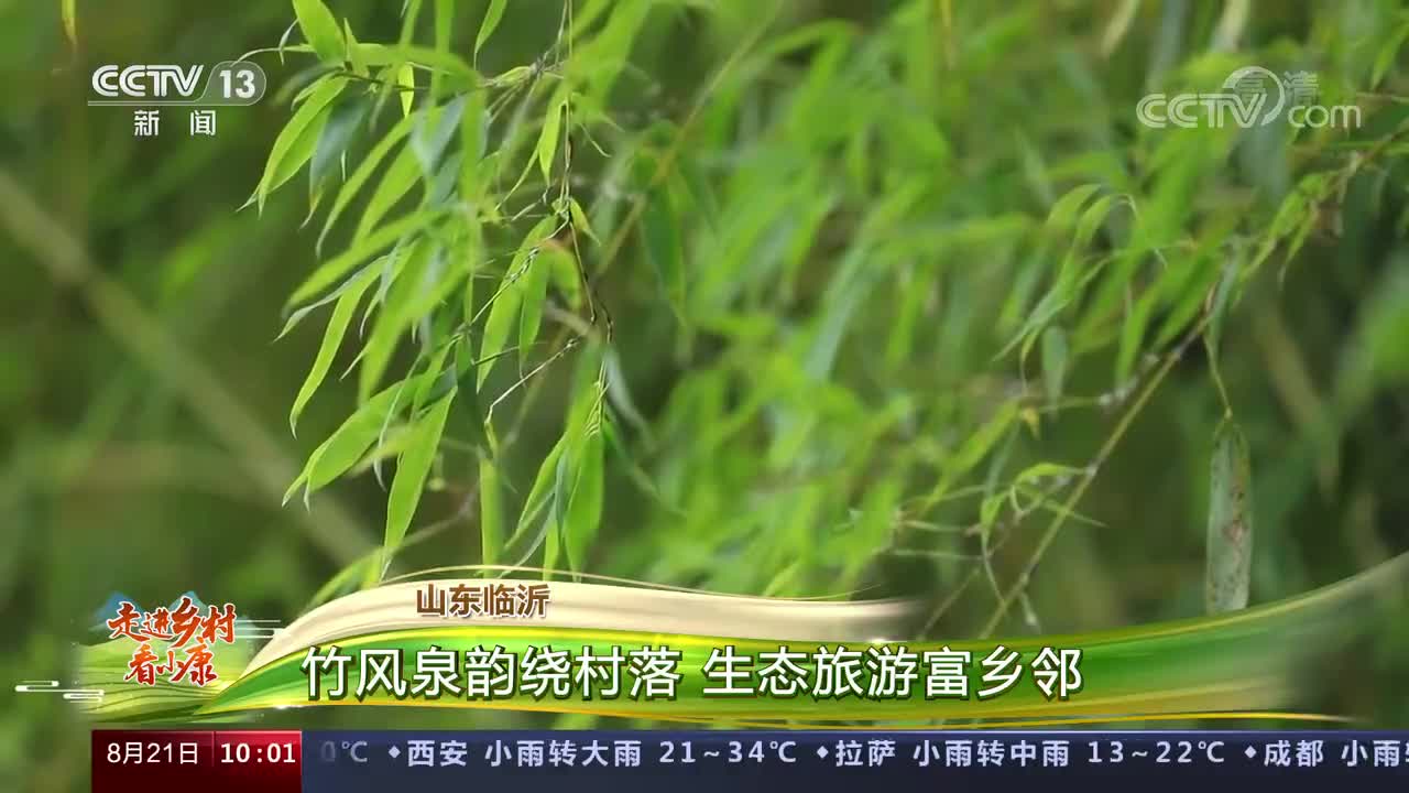 山东临沂:竹风泉韵绕村落 生态旅游富乡邻