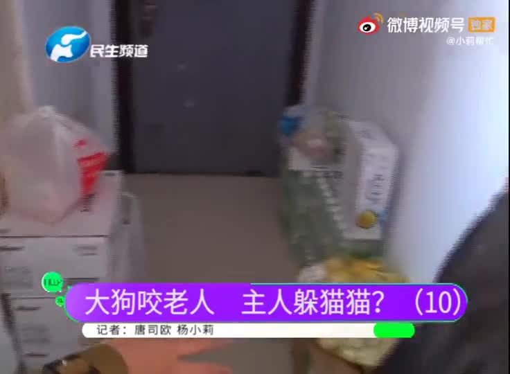 狗咬人不承认把小莉为难哭的河南安阳狗主人想和解