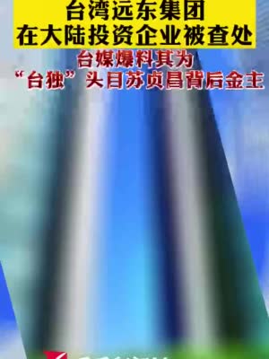 台湾远东集团在大陆投资企业被查处 台媒:其为苏贞昌背后金主|台湾省