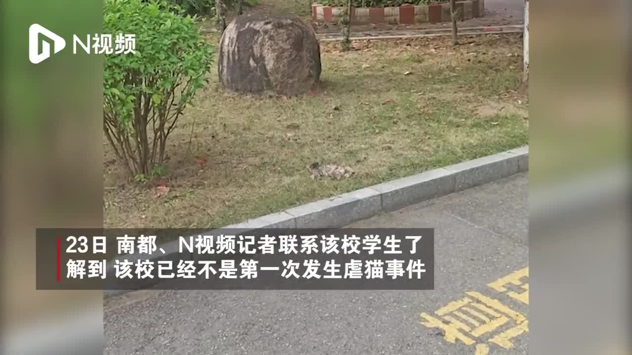 广州华商学院发现被肢解流浪猫尸体学生称已多次发生类似事件