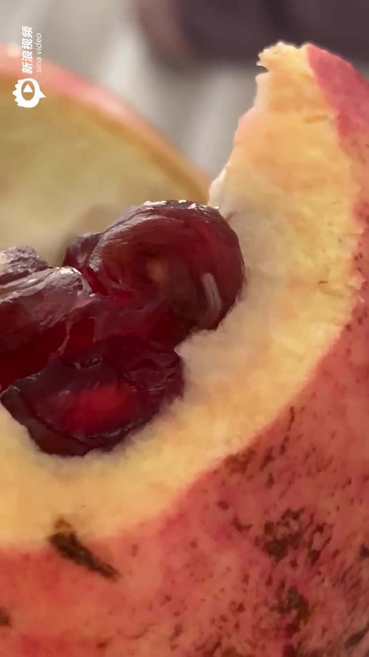 石榴腐烂变质生虫