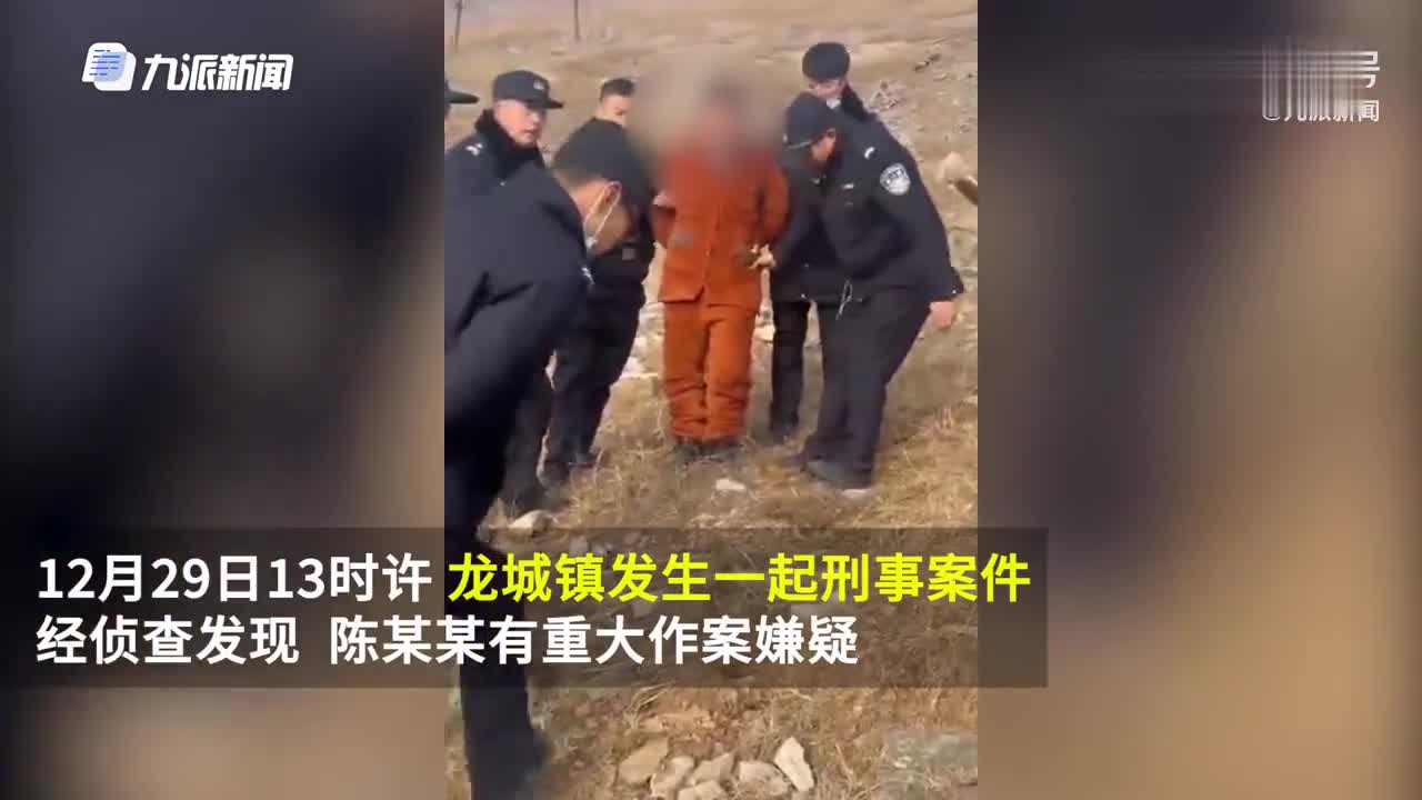 现场视频安徽警方抓获重大刑事案件嫌疑人