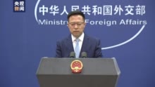 外交部：中方已经向美方由政府官员组成的团队部分成员审发相应签证