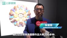 成千上万只昆虫组成的艺术品什么样？春节来重庆美术馆领略“拾光纪”