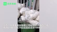 西安官方辟谣“受捐肉夹馍被扔”：系店铺自购存放不当发霉