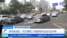 无人驾驶轻型卡车已上路 深圳将建立无人机无人车无人船连接