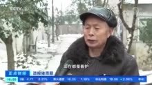 猪肉价格一年间跌去一半！养殖户清空猪圈！有上市公司预亏138亿元！未来价格如何？