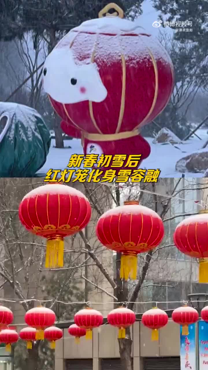 雪后的红灯笼成了雪容融