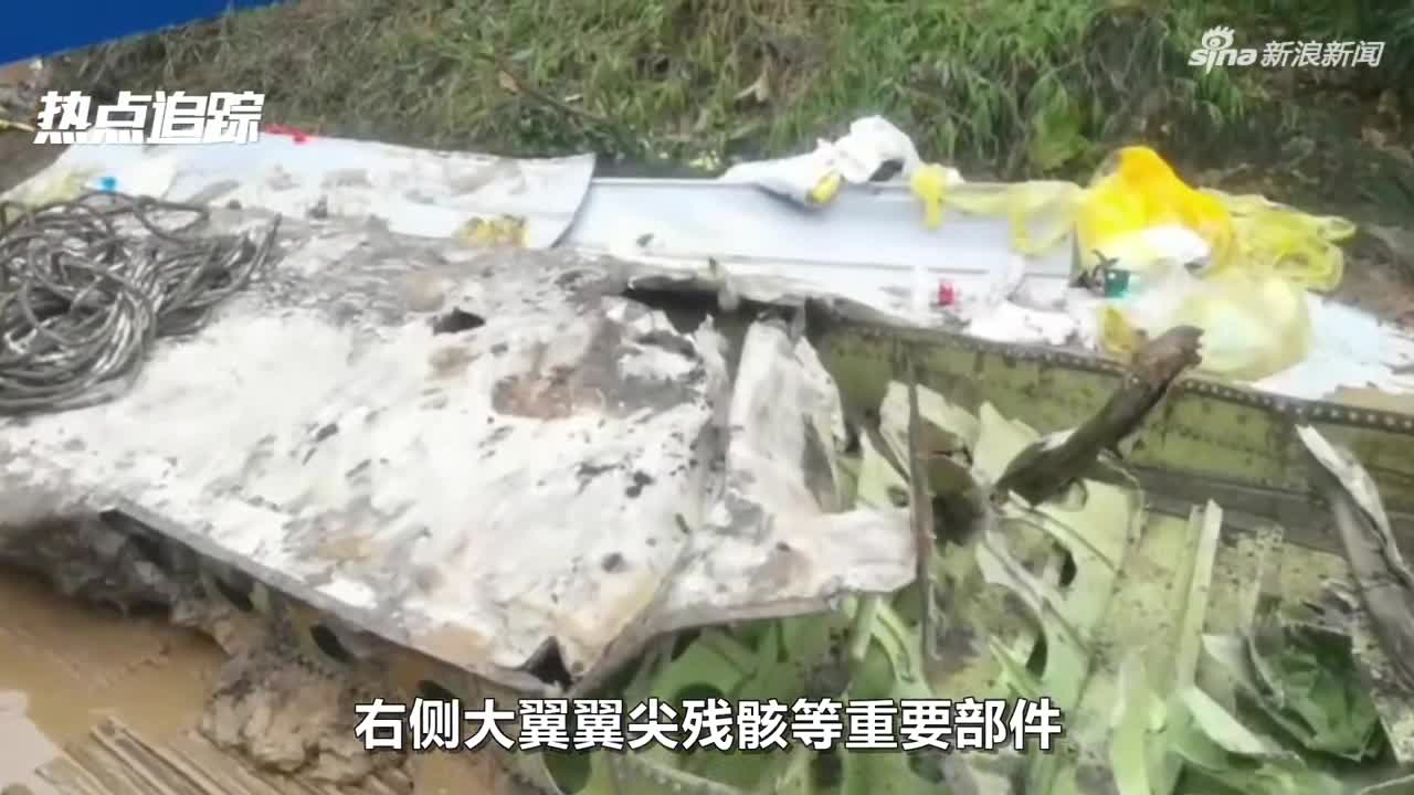 广西藤县回应在飞机失事地点建立纪念碑建议商议后再作部署