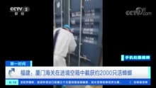 2000只活体蟑螂被海关截获！怎么来的？