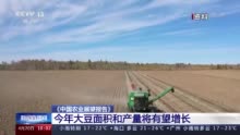 《中国农业展望报告》发布：今年大豆种植面积和产量将有望增长