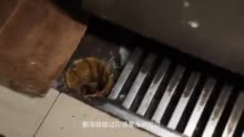 陕西省延安市市场监管局检查《猛男的炒饭》（欧锦园店）后厨：装米饭的桶太脏了！厨房可不是垃圾场