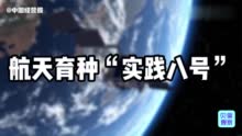 视频 丨 神舟十三号携“种”归来，1.2万颗种子会给我们的生活带来什么？