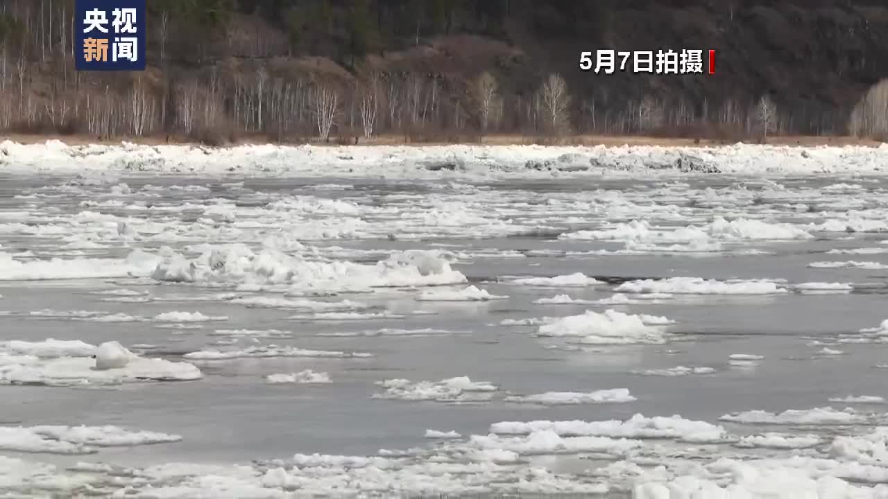 黑龙江漠河段全线开江现跑冰排壮观景象