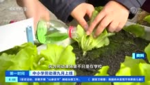 教育部明确，中小学生要学煮饭修家电了！具体怎么学→