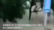 广东江门暴雨 致人员被困 有人为躲水流爬到树上 直击消防救援现场