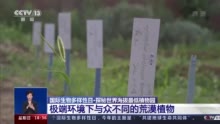 国际生物多样性日丨探秘世界海拔最低植物园